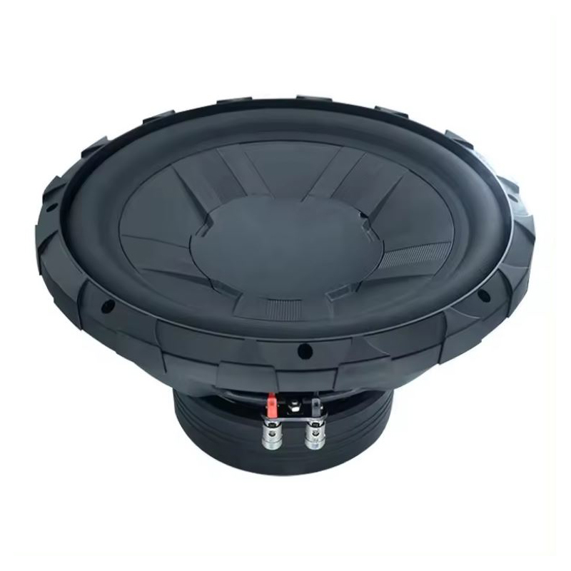 Home Theatre 12" Subwoofer